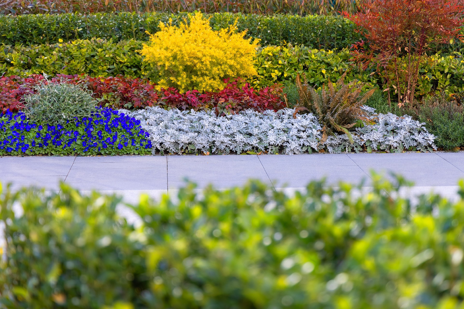 ���ֲ�(�й���)�ٷ���վ